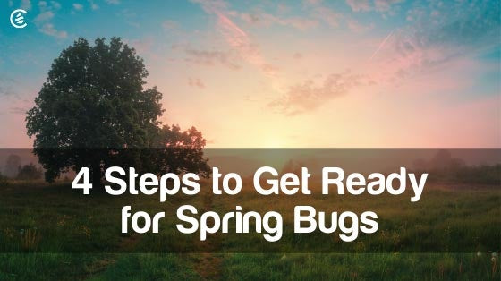 Cedarcide Blog Post Image, 4 Steps to Get Ready for Spring Bugs