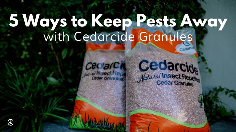 Cedarcide Blog Post Image, 5 Ways to Keep Pests Away With Cedar Granules