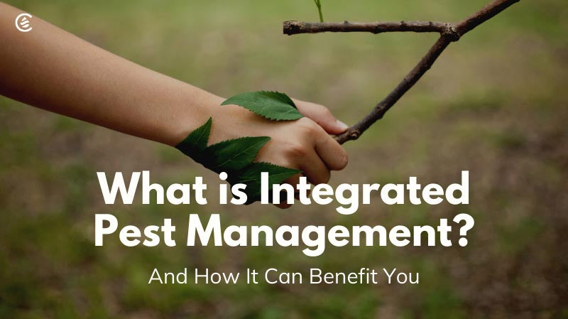 Cedarcide Blog Post Image, What is Integrated Pest Management? And How It Can Benefit You