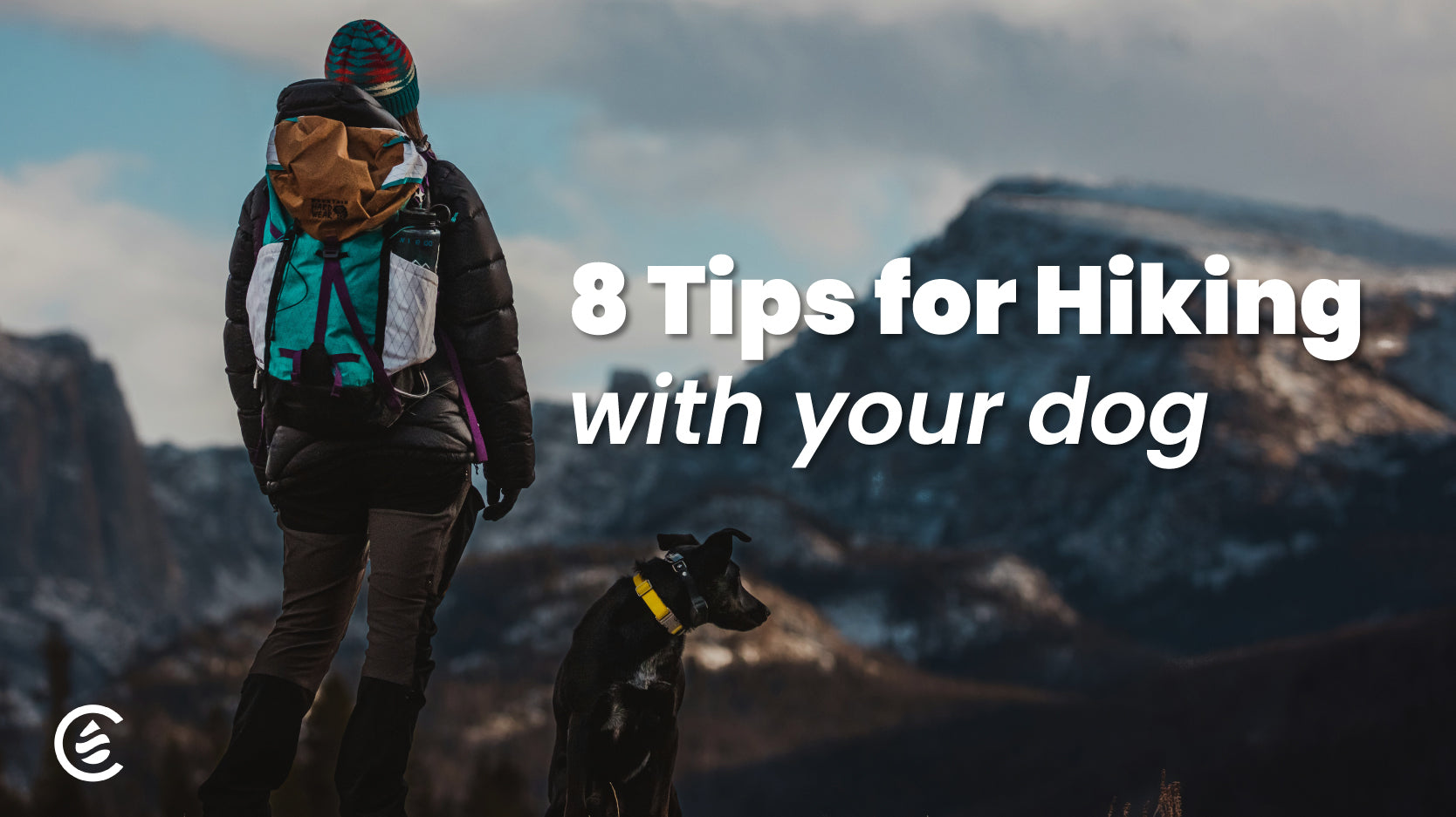 8 Tips for Hiking with Your Dog