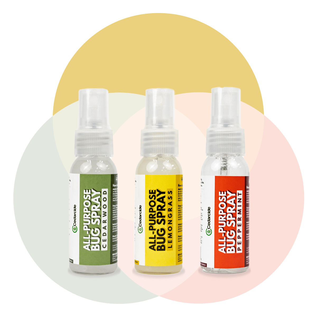 Travel Size of All-Purpose Bug Spray