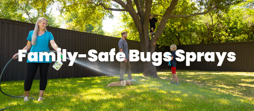 The Ultimate Cedar & Neem Pest Defense Trunk