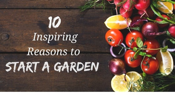 Cedarcide Blog Post Image, 10 Inspiring Reasons to Start Gardening