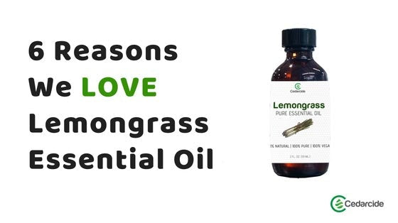 Cedarcide Blog Post Image, 6 Reasons We Love Lemongrass Essential Oil