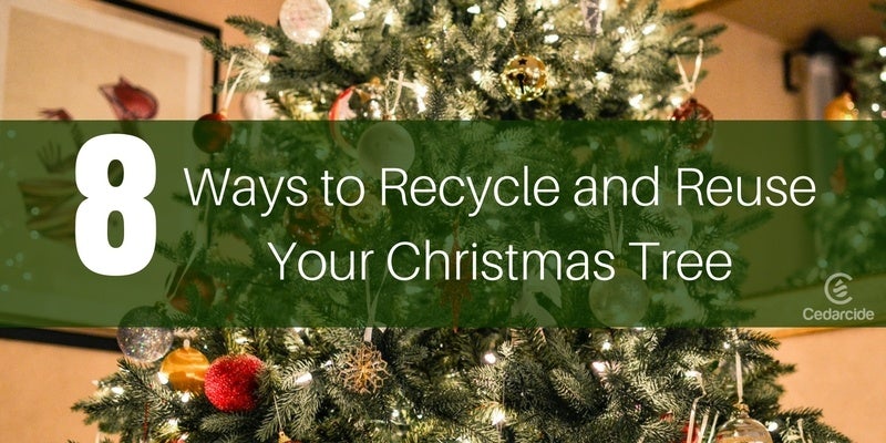 Cedarcide Blog Post Image, 8 Ways You Can Recycle Real Christmas Trees