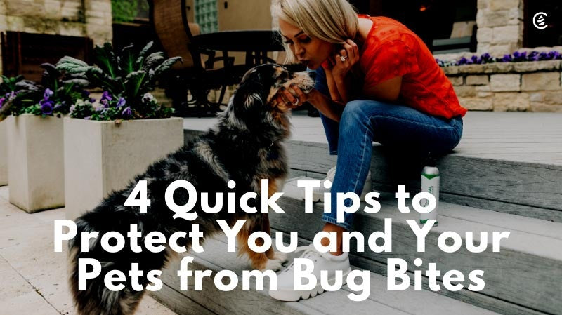 Cedarcide Blog Post Image, 4 Quick Tips to Protect You and Your Pets from Bug Bites