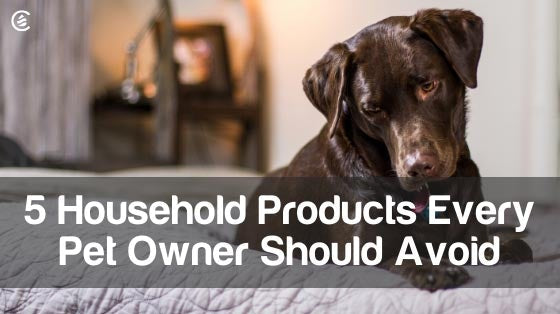 Cedarcide Blog Post Image, 5 Household Products Every Pet Owner Should Avoid