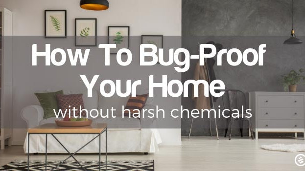 Cedarcide Blog Post Image, How to Bug-Proof Your Home Without Harsh Chemicals
