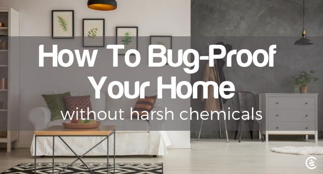 Cedarcide Blog Post Image, How to Bug-Proof Your Home Without Harsh Chemicals