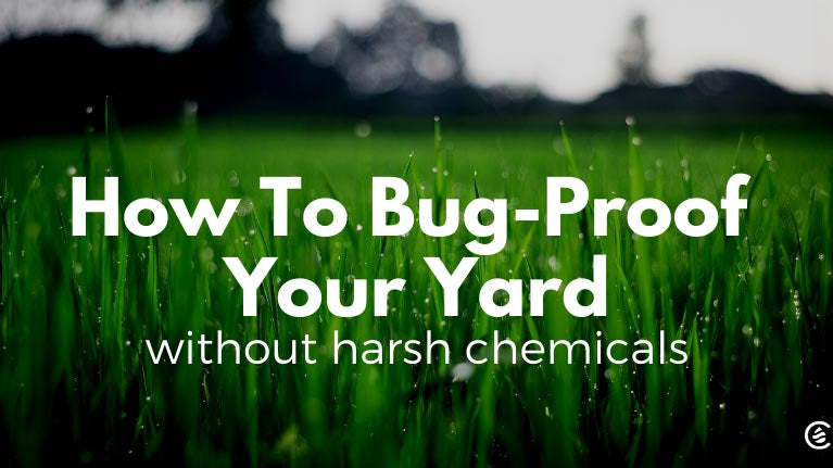 Cedarcide Blog Post Image, How To Bug-Proof Your Yard without Harsh Chemicals