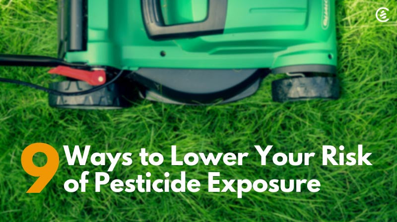9 ways to lower your risk of pesticide exposure