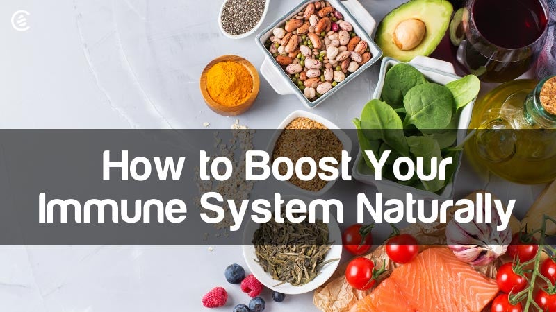 Cedarcide Blog Post Image, How to Boost Your Immune System Naturally