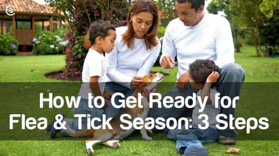 Cedarcide Blog Post Image, How to Get Ready for Flea & Tick Season: 3 Steps
