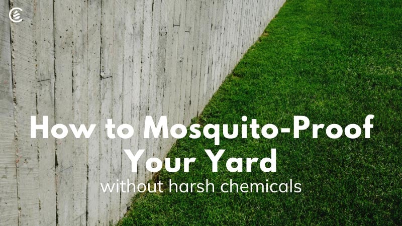 Cedarcide Blog Post Image, How To Mosquito-Proof Your Yard