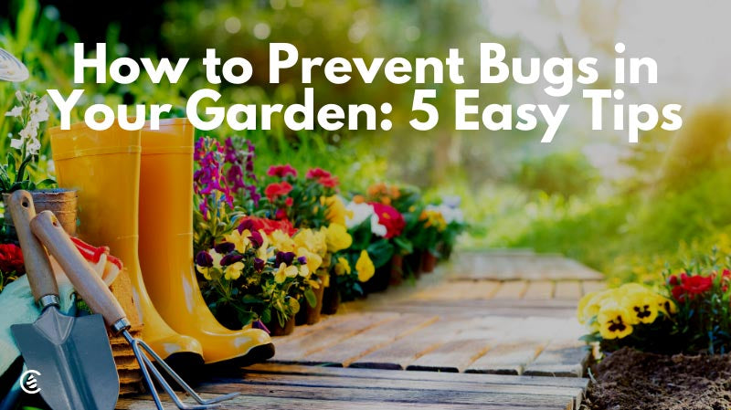 How to Prevent Bugs in Your Garden: 5 Easy Tips