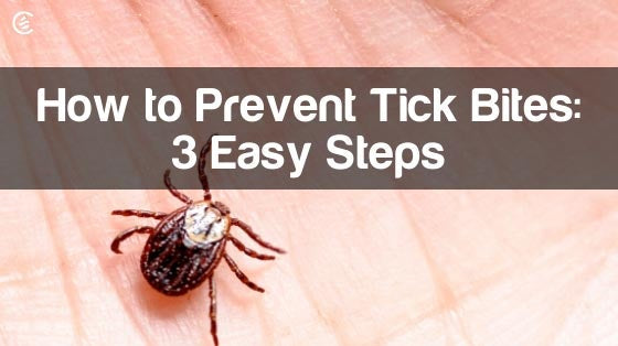 Cedarcide Blog Post Image, How to Prevent Tick Bites: 3 Easy Steps