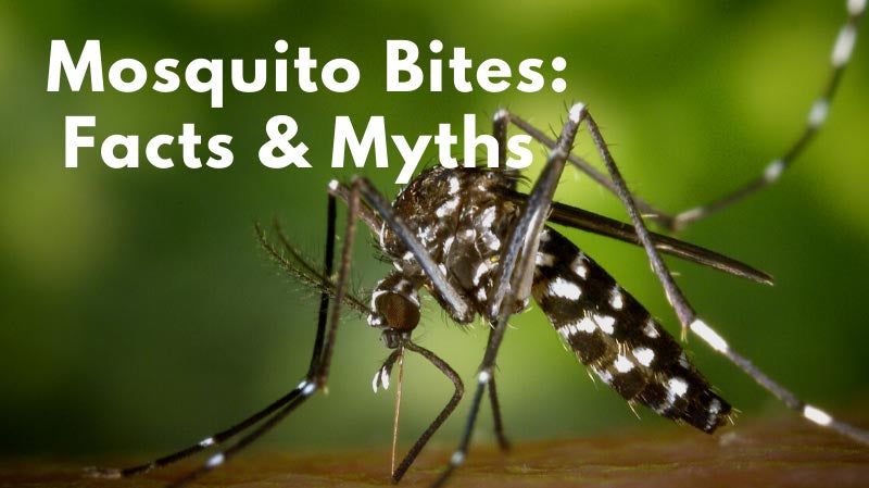 Cedarcide Blog Post Image, Mosquito Bites: Facts & Myths