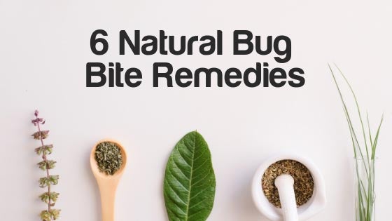 Cedarcide Blog Post Image, 6 Natural Bug Bite Remedies