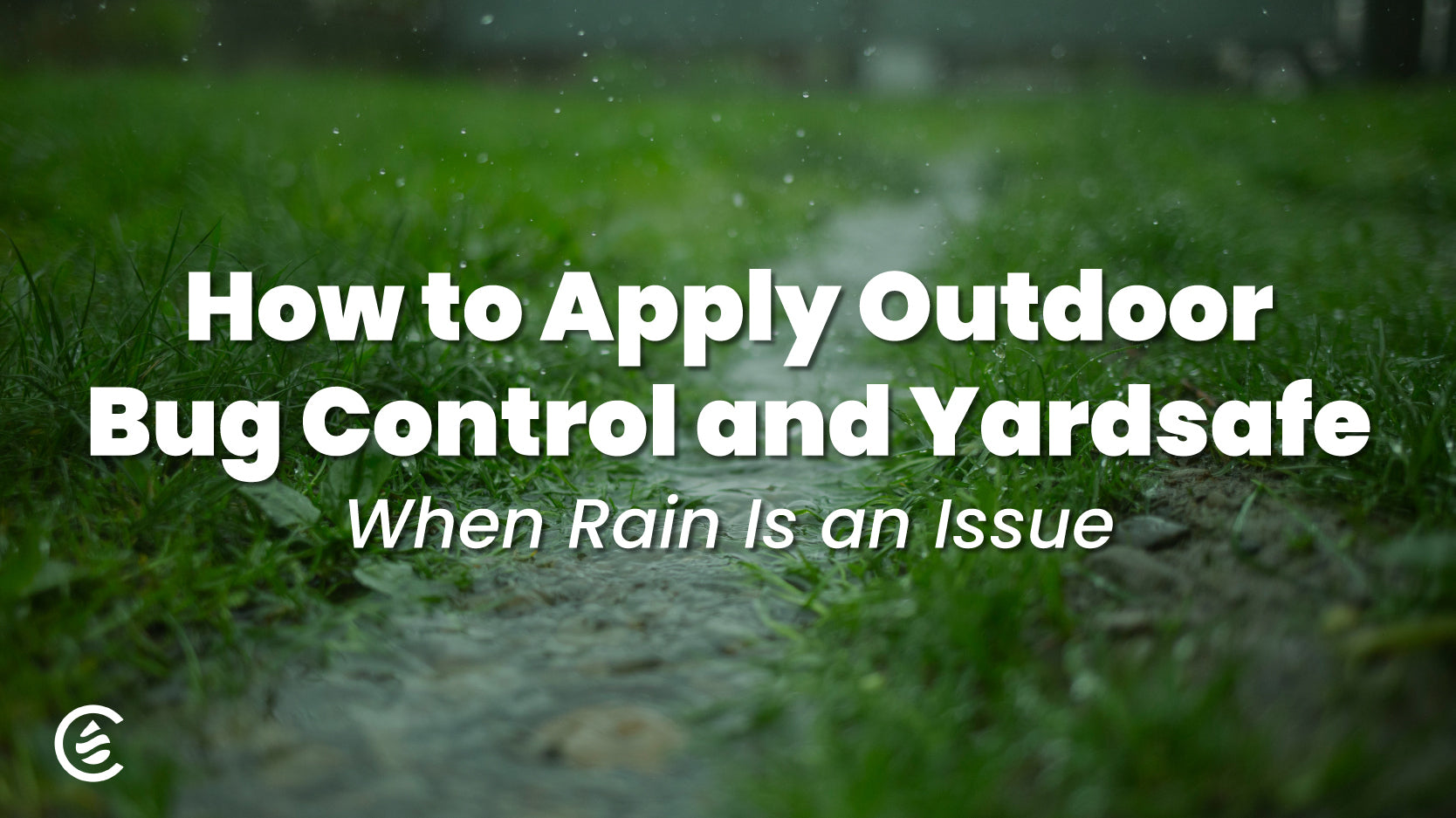 Cedarcide Blog Post Image, How to Apply PCO Choice and Yardsafe When Rain is an Issue