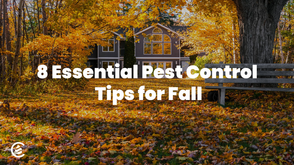 Cedarcide Blog Post Image, 8 Essential Pest Control Tips for Fall