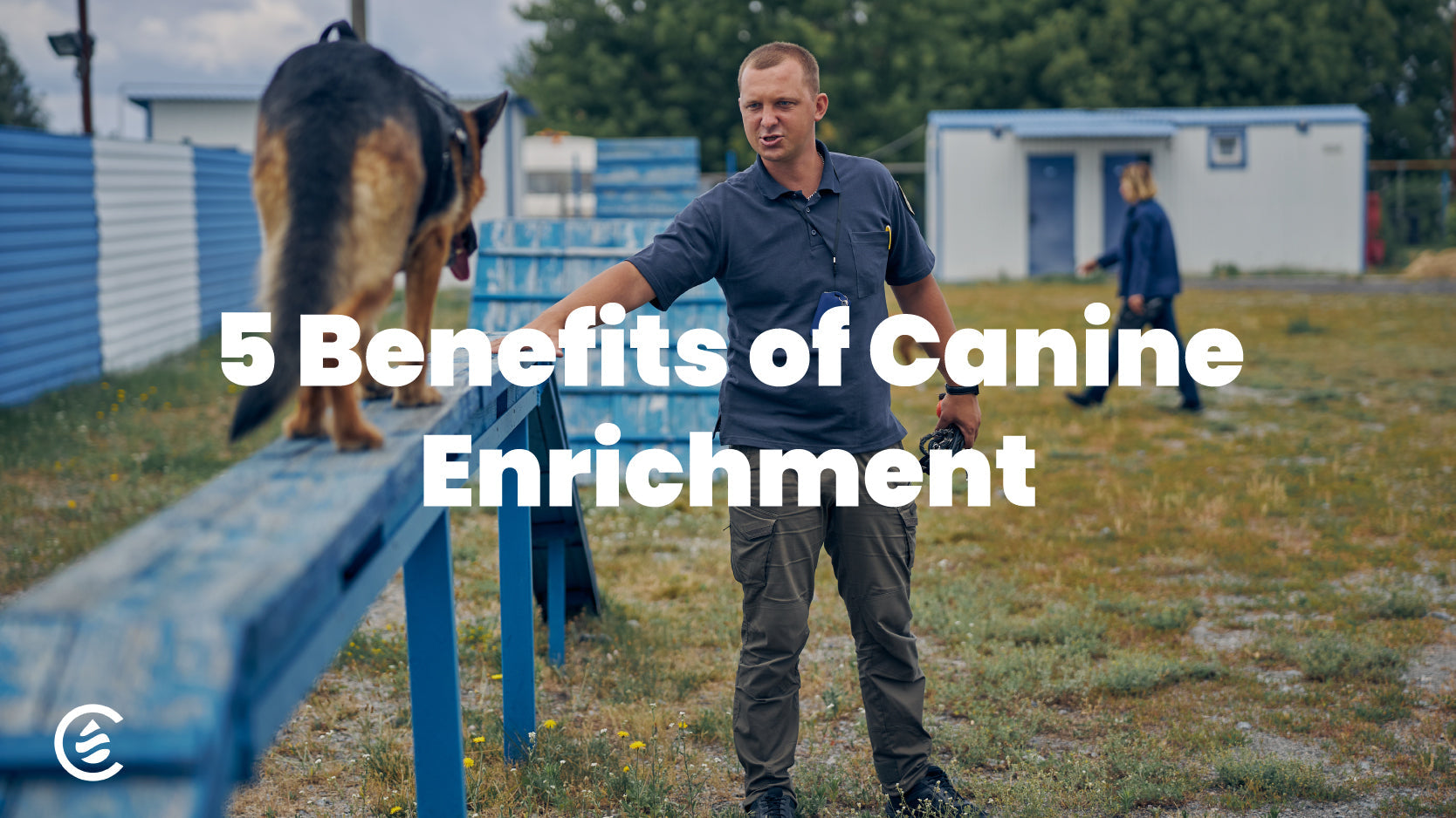 dog trainer training German Shepherd