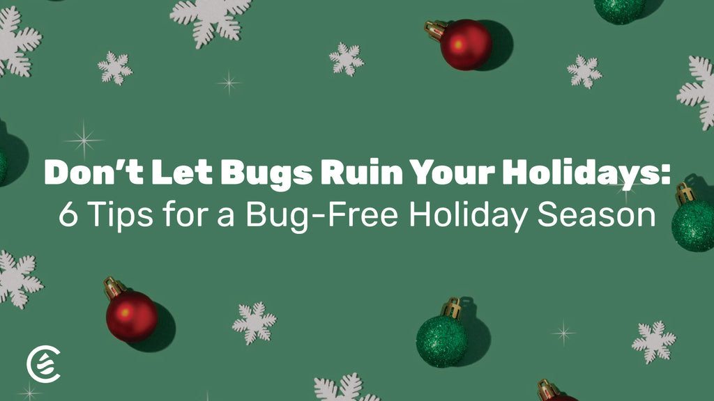 Cedarcide Blog Post Image, Don't Let Bugs Ruin Your Holidays: 6 Tips for a Bug-Free Holiday Season