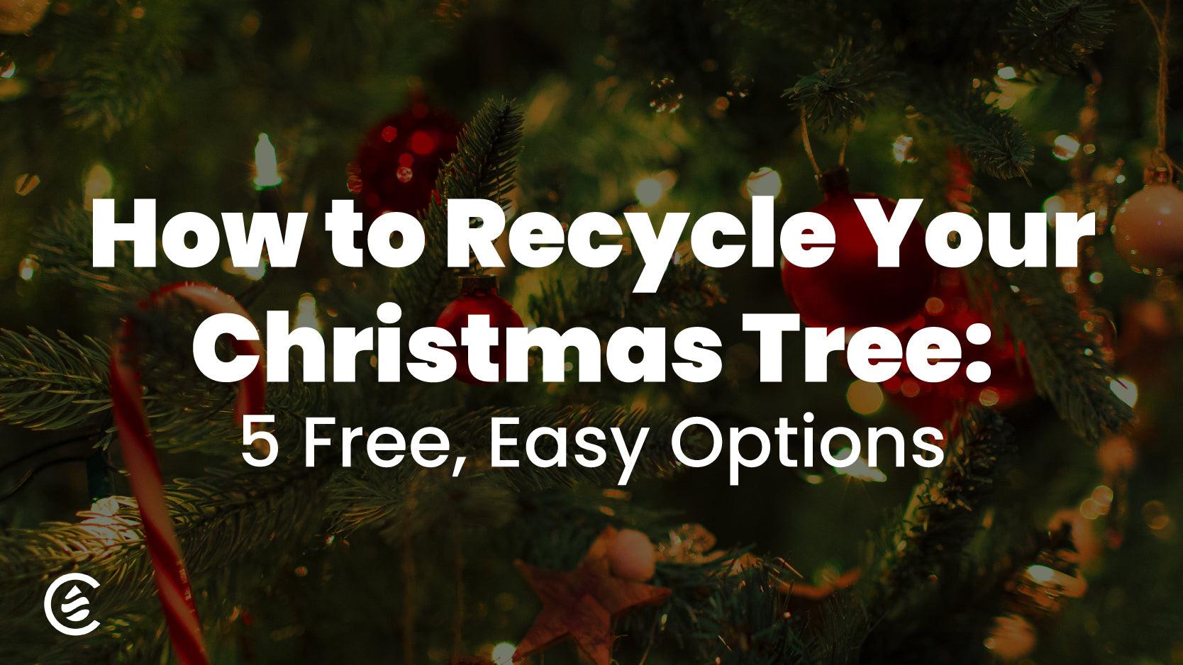 Cedarcide Blog Post Image: How to Recycle Your Christmas Tree: 5 Free, Easy Options