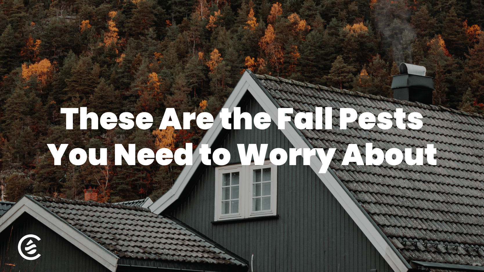 Cedarcide Blog Post Image, These Are the Fall Pests You Need to Worry About