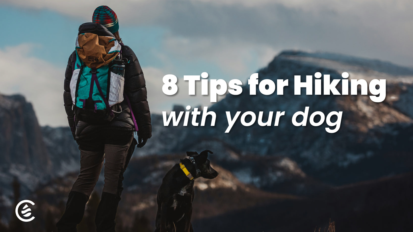 8 Tips for Hiking with Your Dog