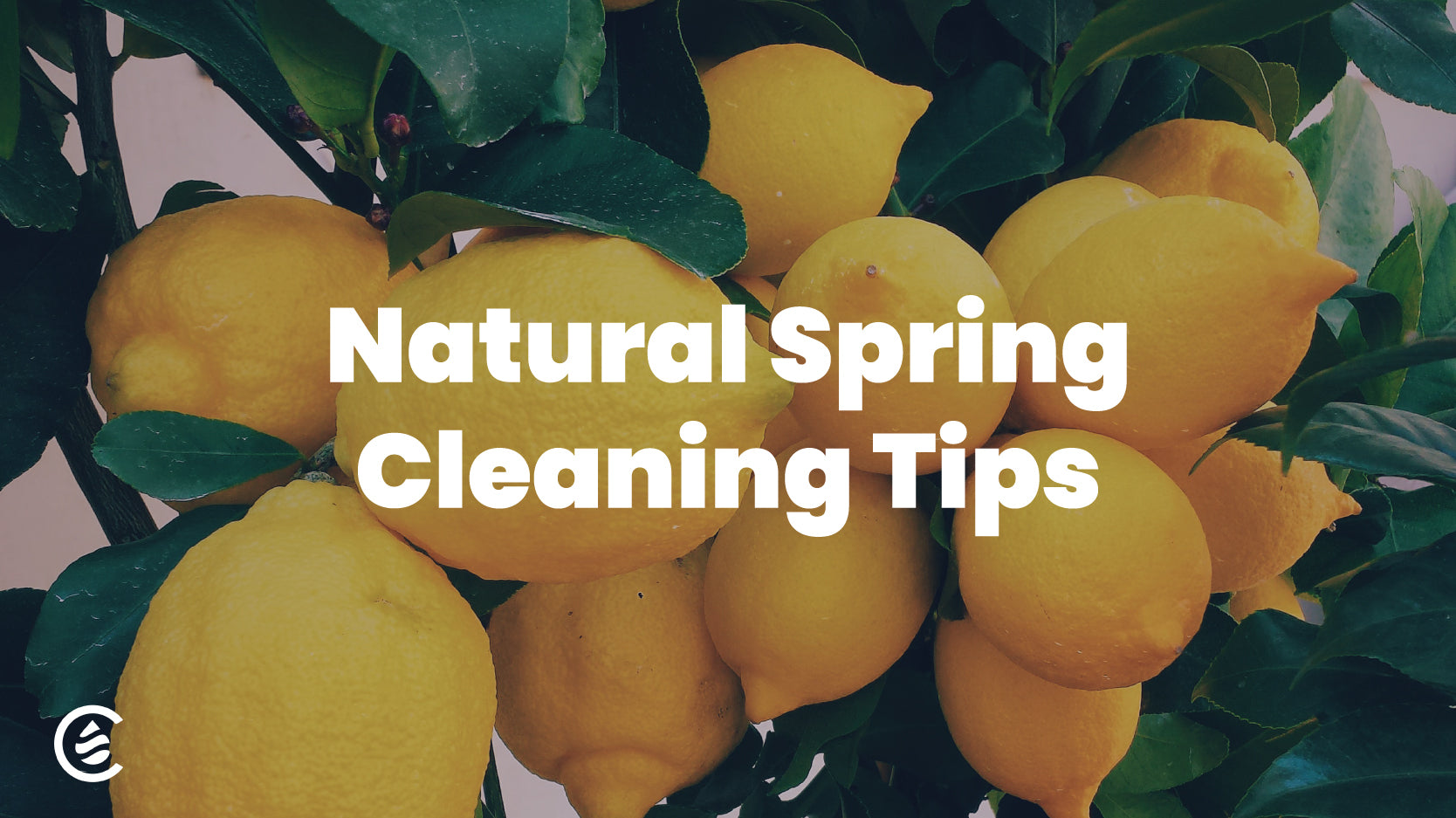 Cedarcide Blog Post Image, Natural Spring Cleaning Tips