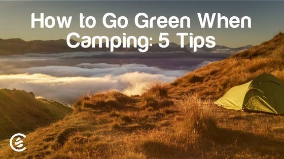 Cedarcide Blog Post Image, How to Go Green When Camping: 5 Tips