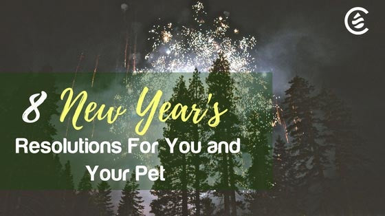Cedarcide Blog Post Image, 8 New Year's Resolutions for You and Your Pet