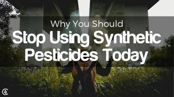 Cedarcide Blog Post Image, Why You Should Stop Using Synthetic Pesticides Today