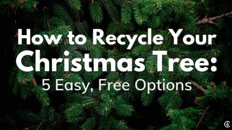 Cedarcide Blog Post Image, How to Recycle Your Christmas Tree: 5 Free, Easy Options