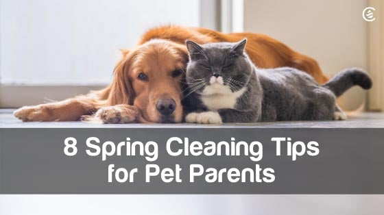 Cedarcide Blog Post Image, 8 Spring Cleaning Tips for Pet Parents