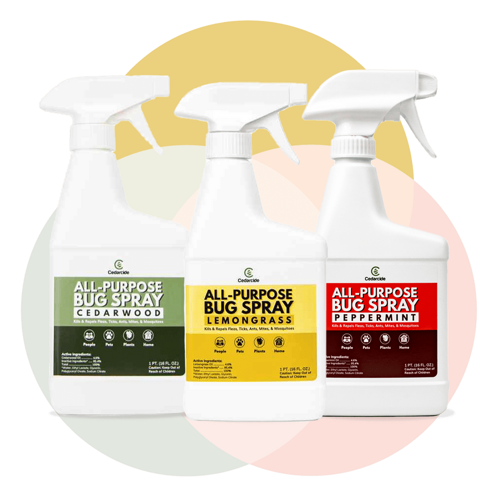 APBS all 3 scents pint