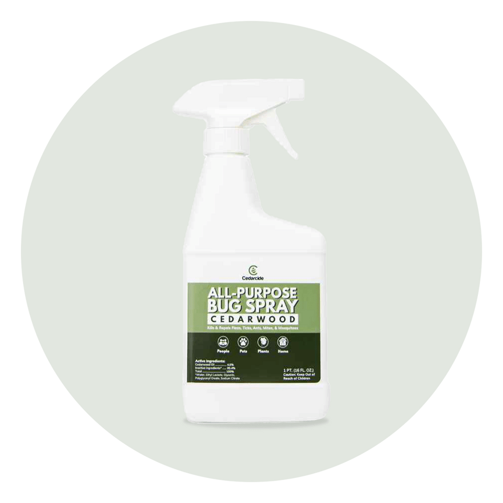 The Best PetFriendly AllPurpose Bug Spray Cedarcide
