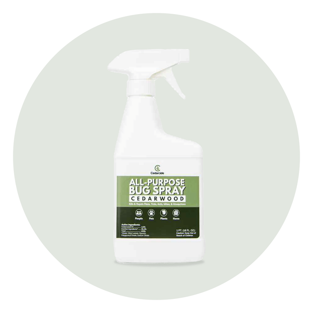 cedarwood all-purpose bug spray