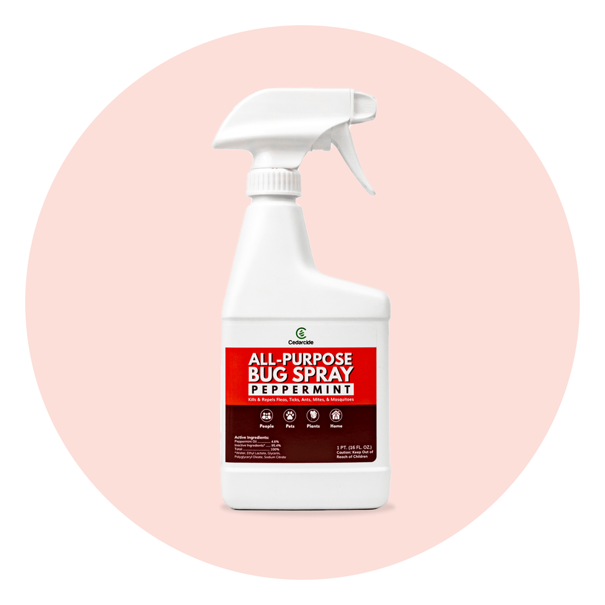 Dog friendly bug shop spray