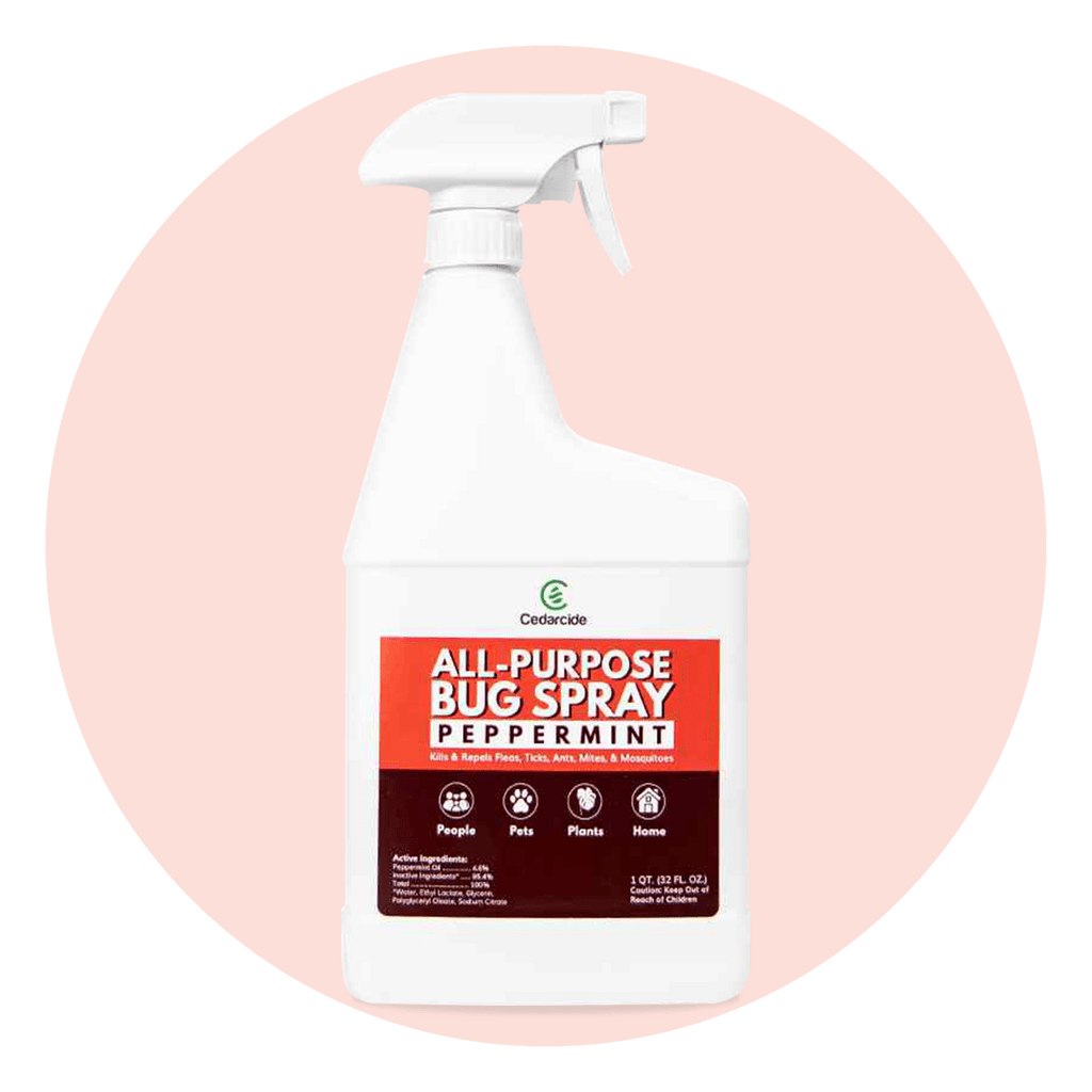 pet friendly peppermint bug repellent 