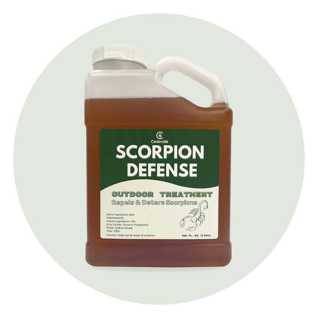 pet friendly scorpion defense
