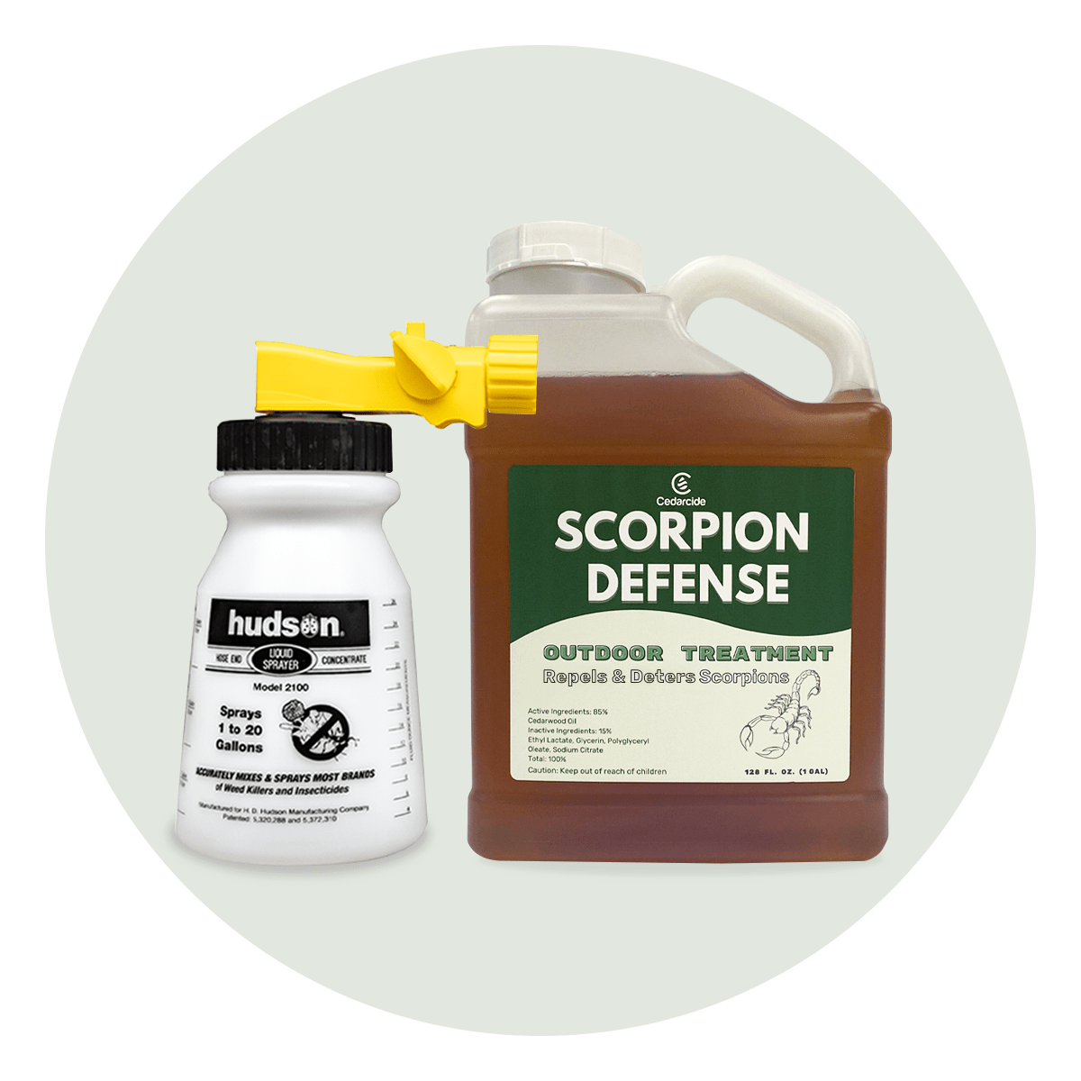kill and repel scorpions outside