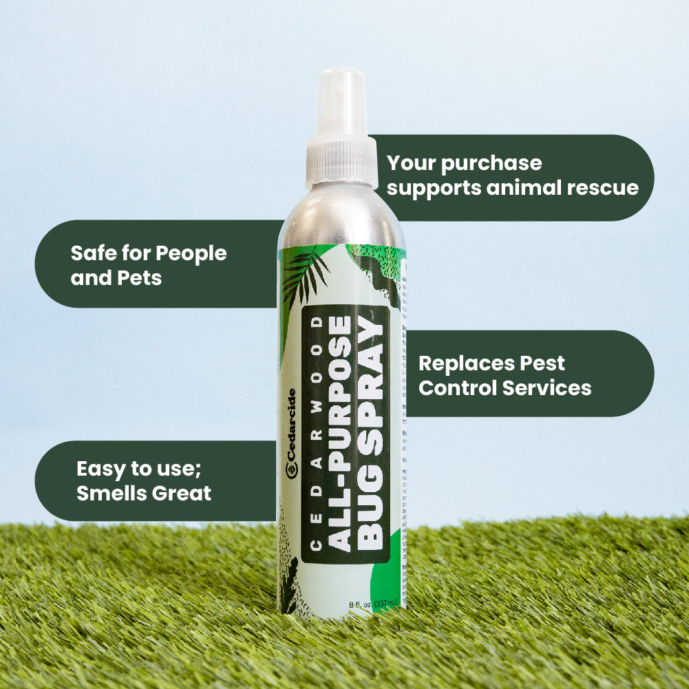 Cedarcide All-Purpose Bug Spray Kit for People, Pets, Homes, and Plants (Large Kit / Cedarwood)