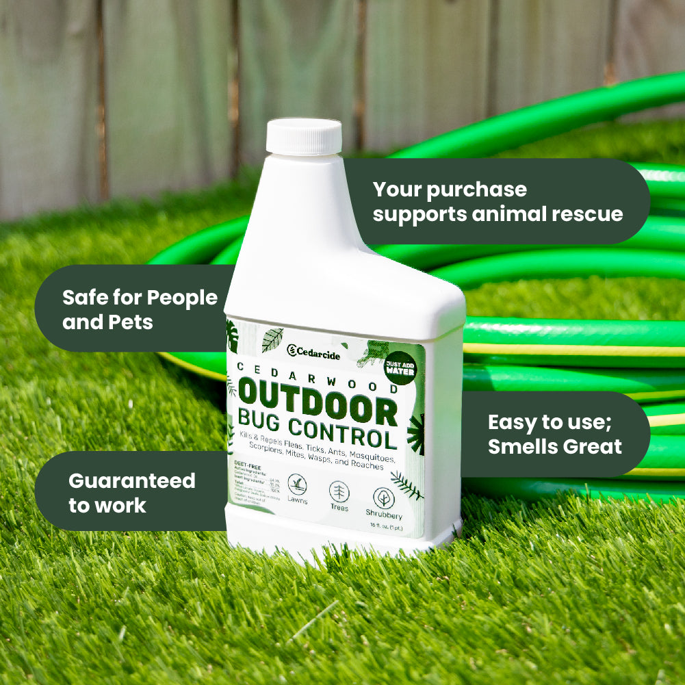 benefits of cedarwood outdoor bug control 