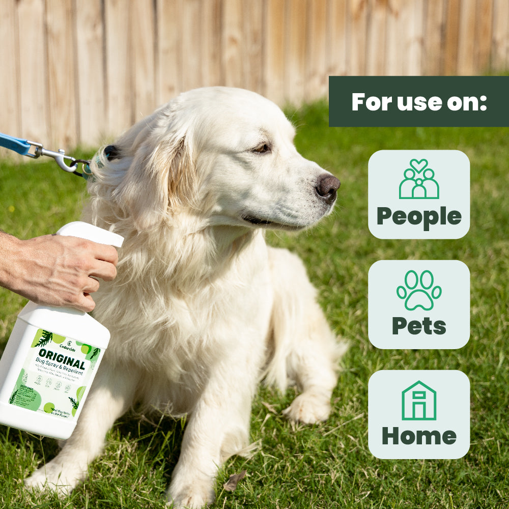 pet safe bug spray for dogs